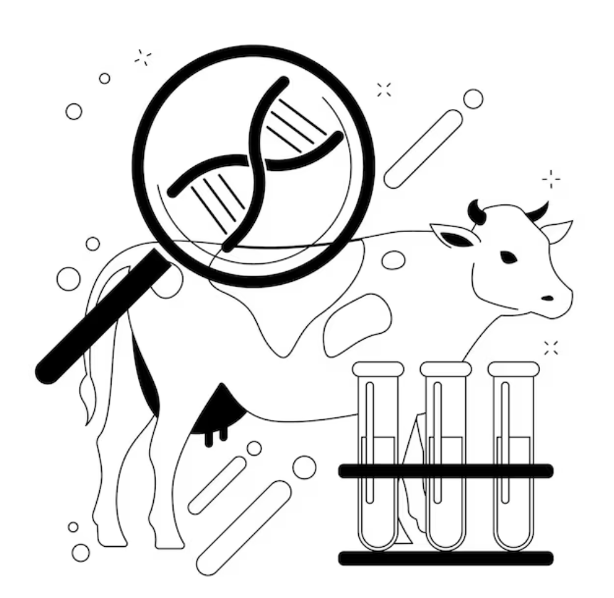 Screenshot 2026-02-04 at 3.55.55 PM.png