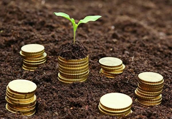 microfinance.jpg