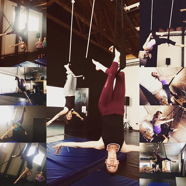 So proud of these incredible #operasingers ! Achieving exciting new skills on the #trapeze @ our #circusoperalab in #berlin ... #circusopera #circus #opera