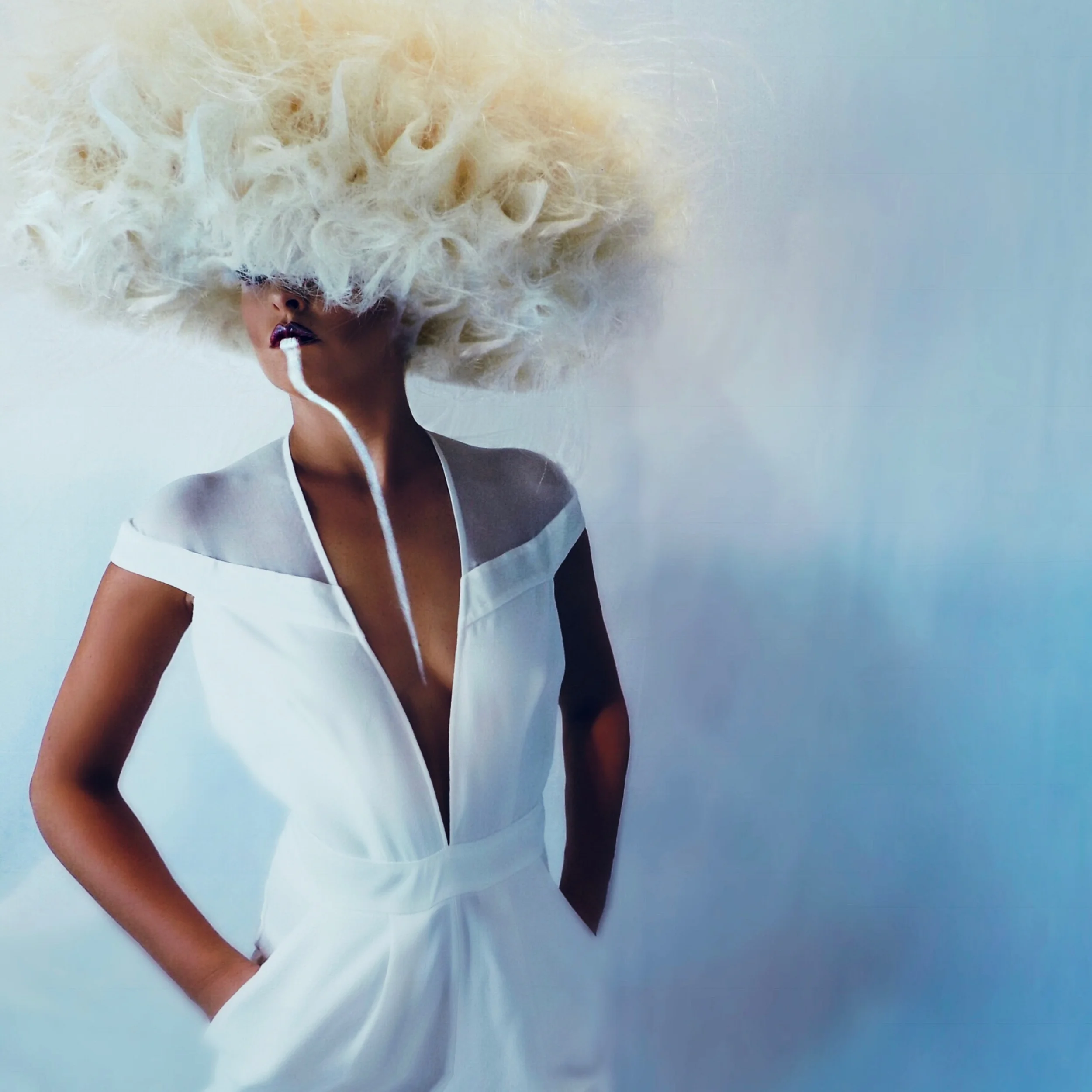 Intercoiffure America/Canada Inaugural Excellence in Hair Awards 2018 second place. avant garde. model: molly meyers hair: erica moomey makeup: isabel duran photography: autumn reed