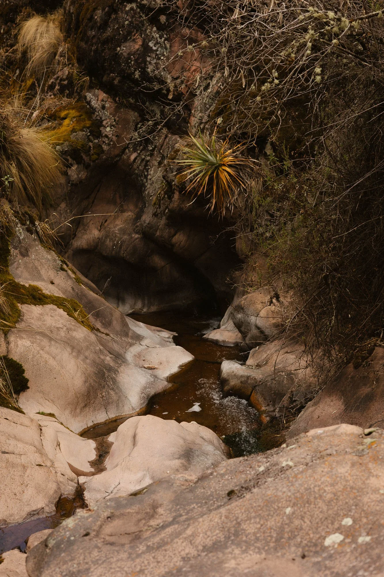 _MG_1740.jpg