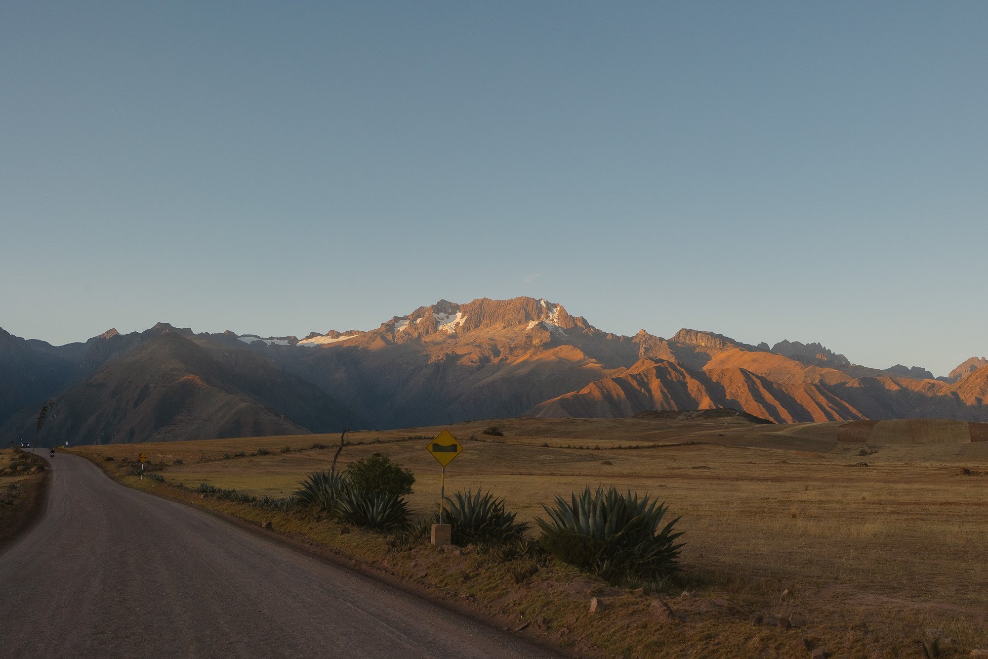 _MG_5234.jpg