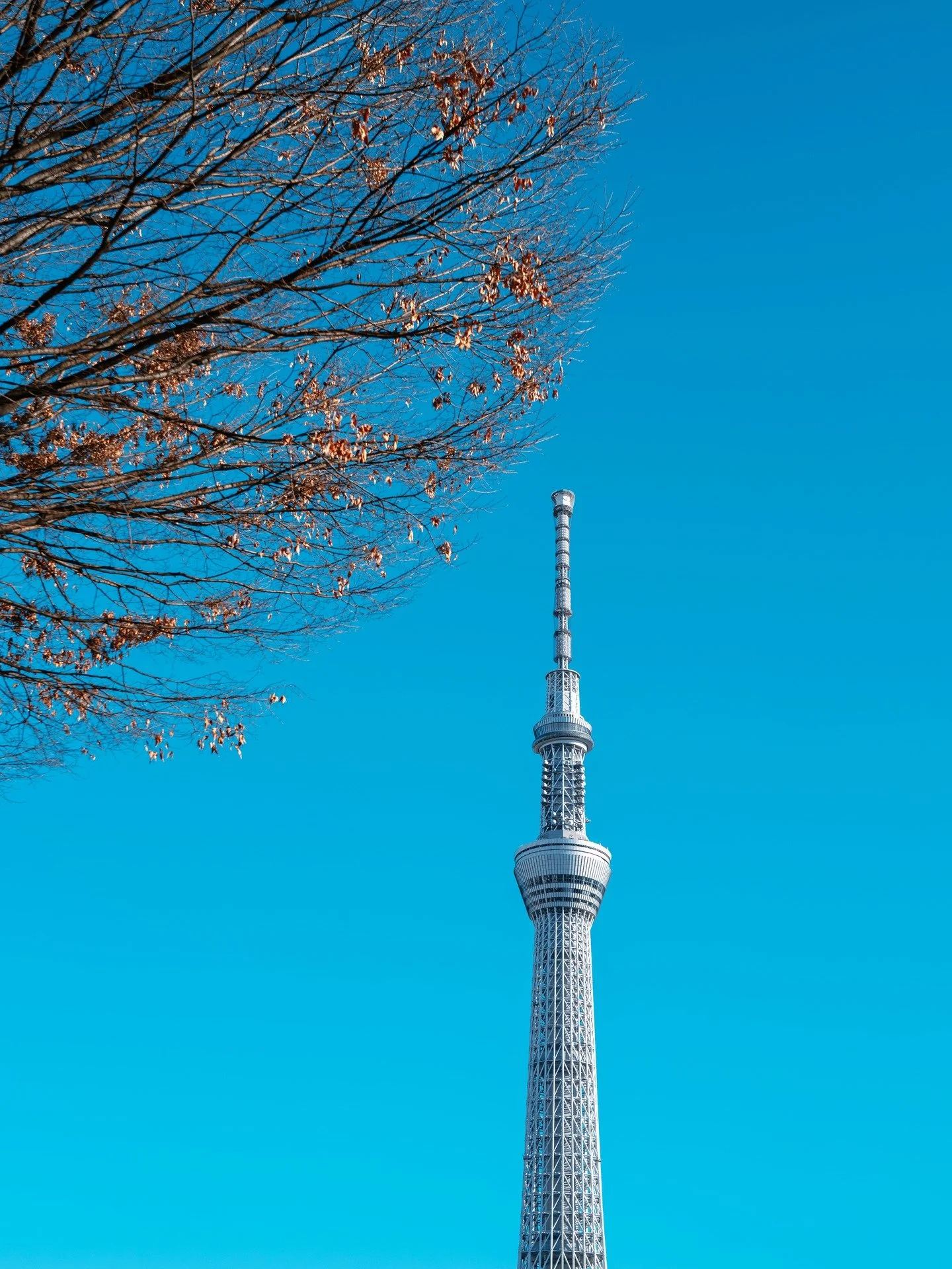 #valorstudio #architecturalphotography #interiorphotography #vietnamarchitecture #archdaily