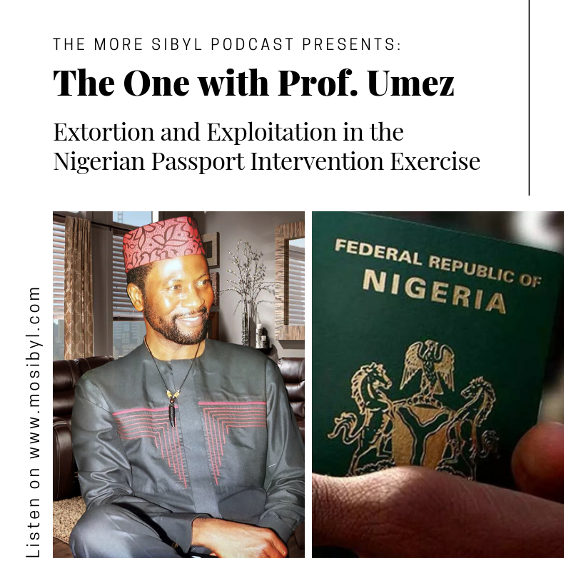 선량한 국민| The One with Prof. Umez - Nigerian Passport Renewal in the Diaspora: Episode 1 (2019) episode artwork