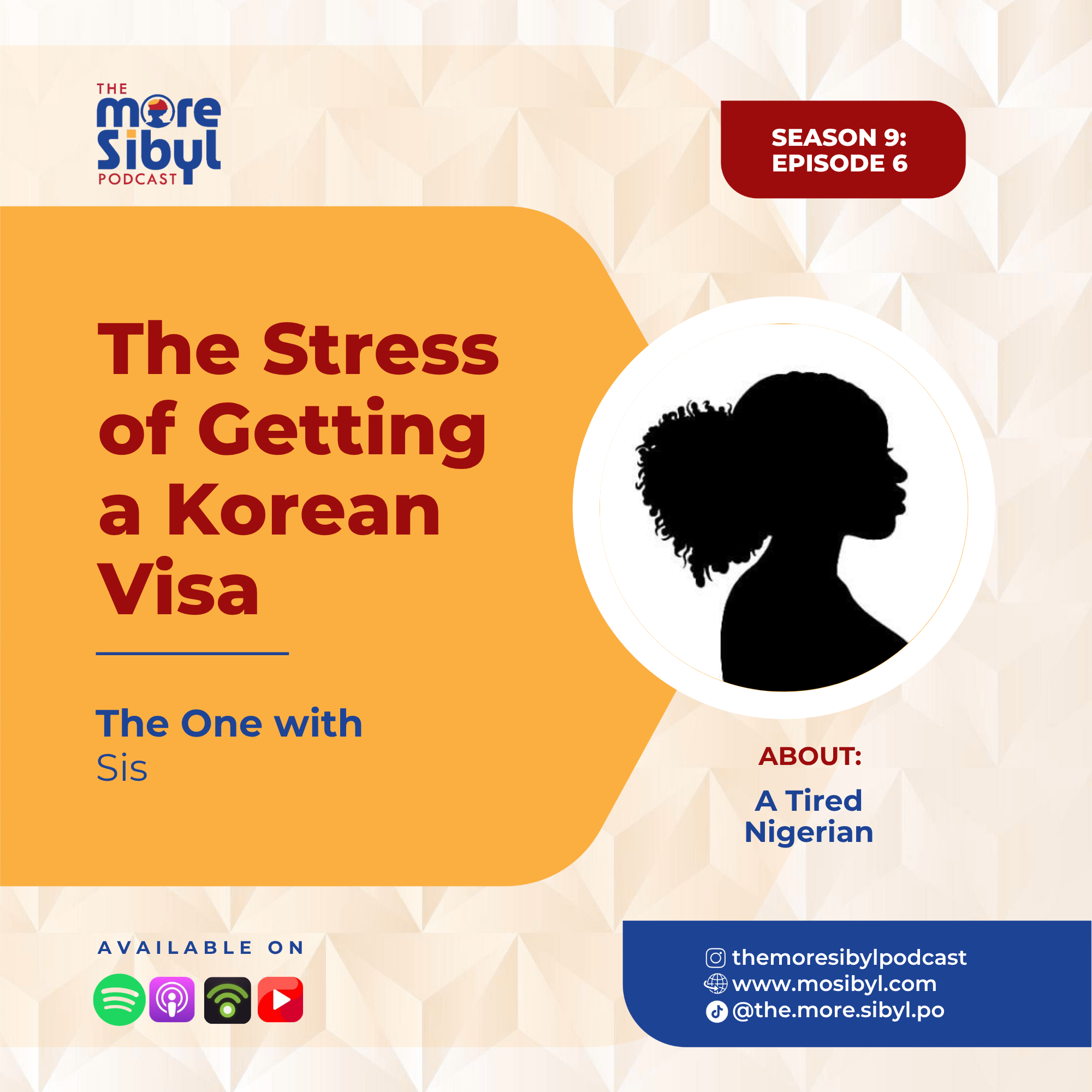 한국 비자 | The Nigerian Passport Tax — The Stress of Getting a Korean Visa: Episode 6 (2026)