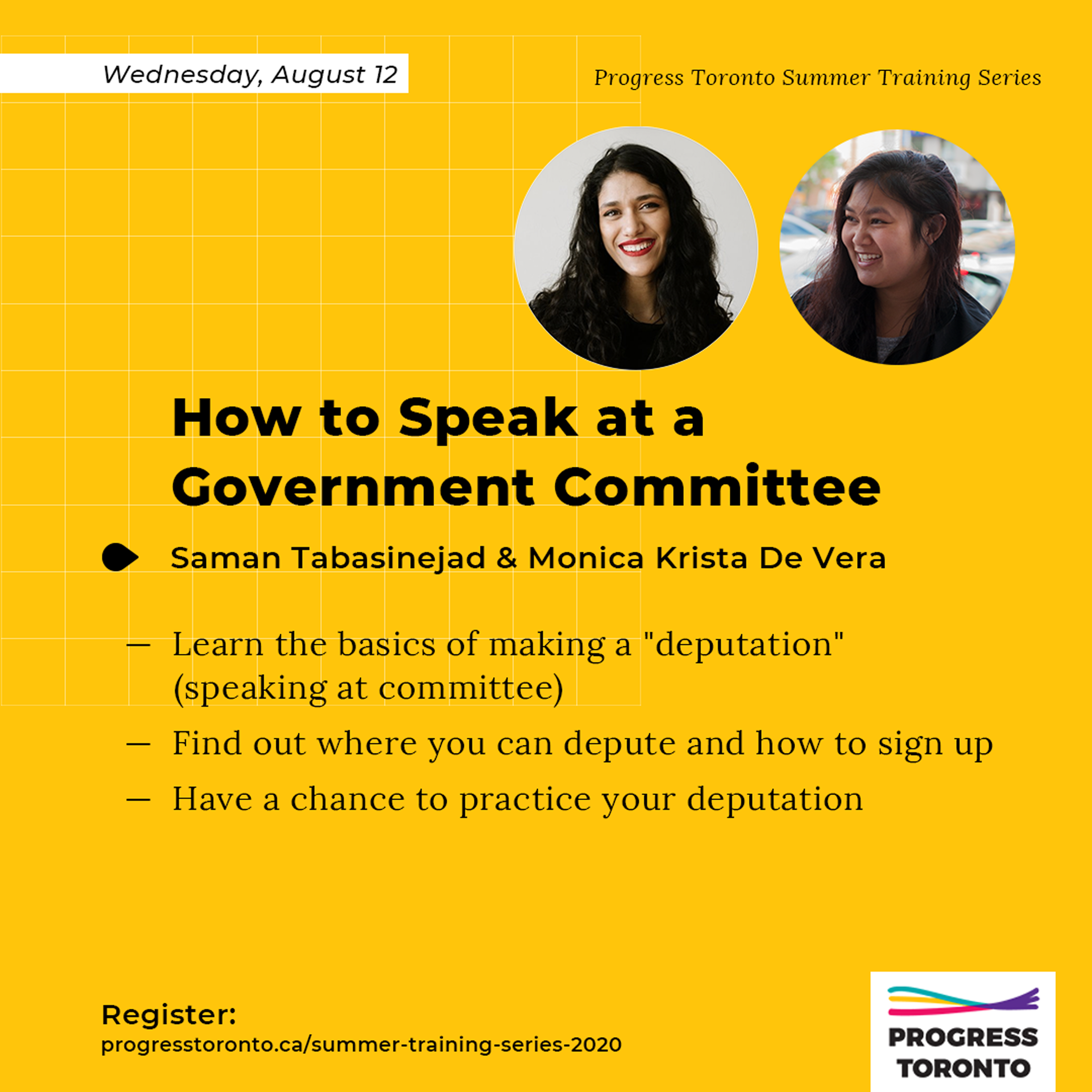 How to Speak at a Government Committee