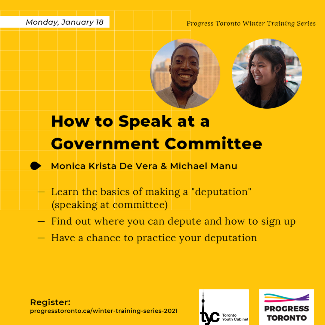 Training: How to Speak at Government Committee