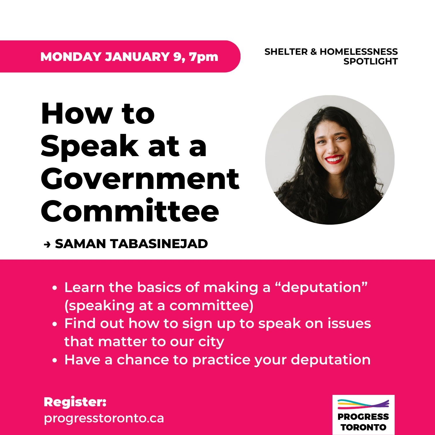 Training: How to Speak at a Government Committee