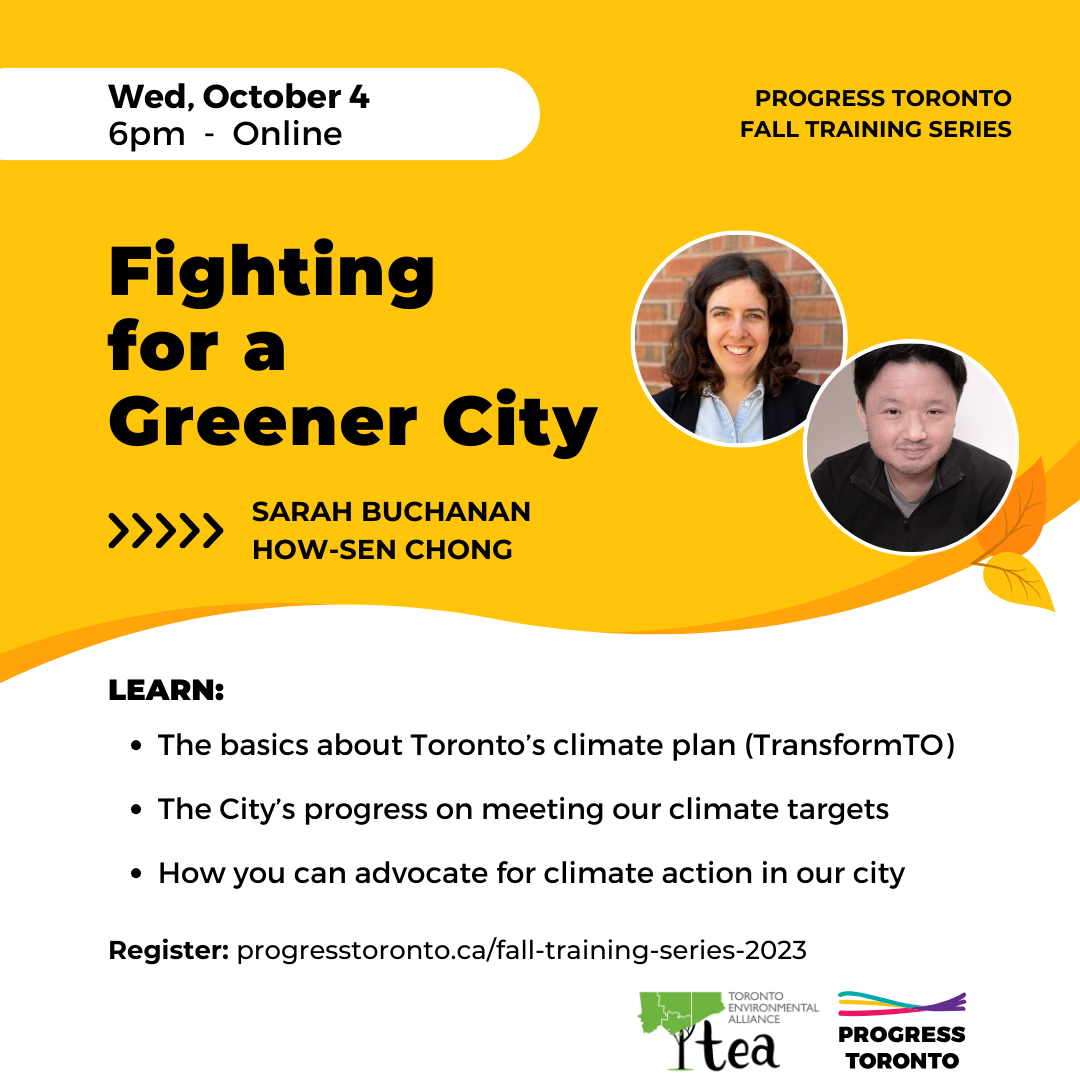 Training: Fighting for a Greener City