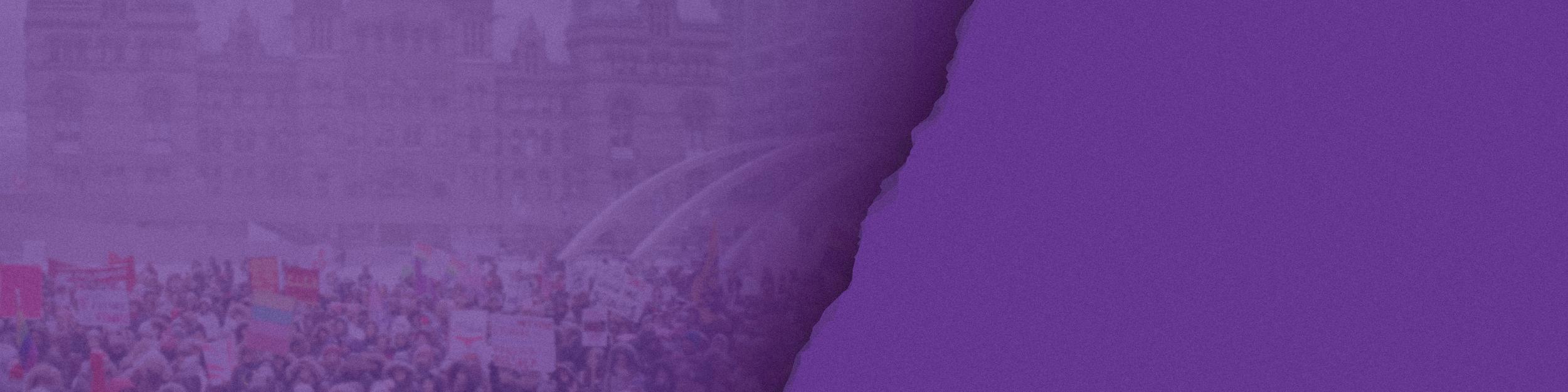 Banner - Freedom to Protest 2025 (1).png