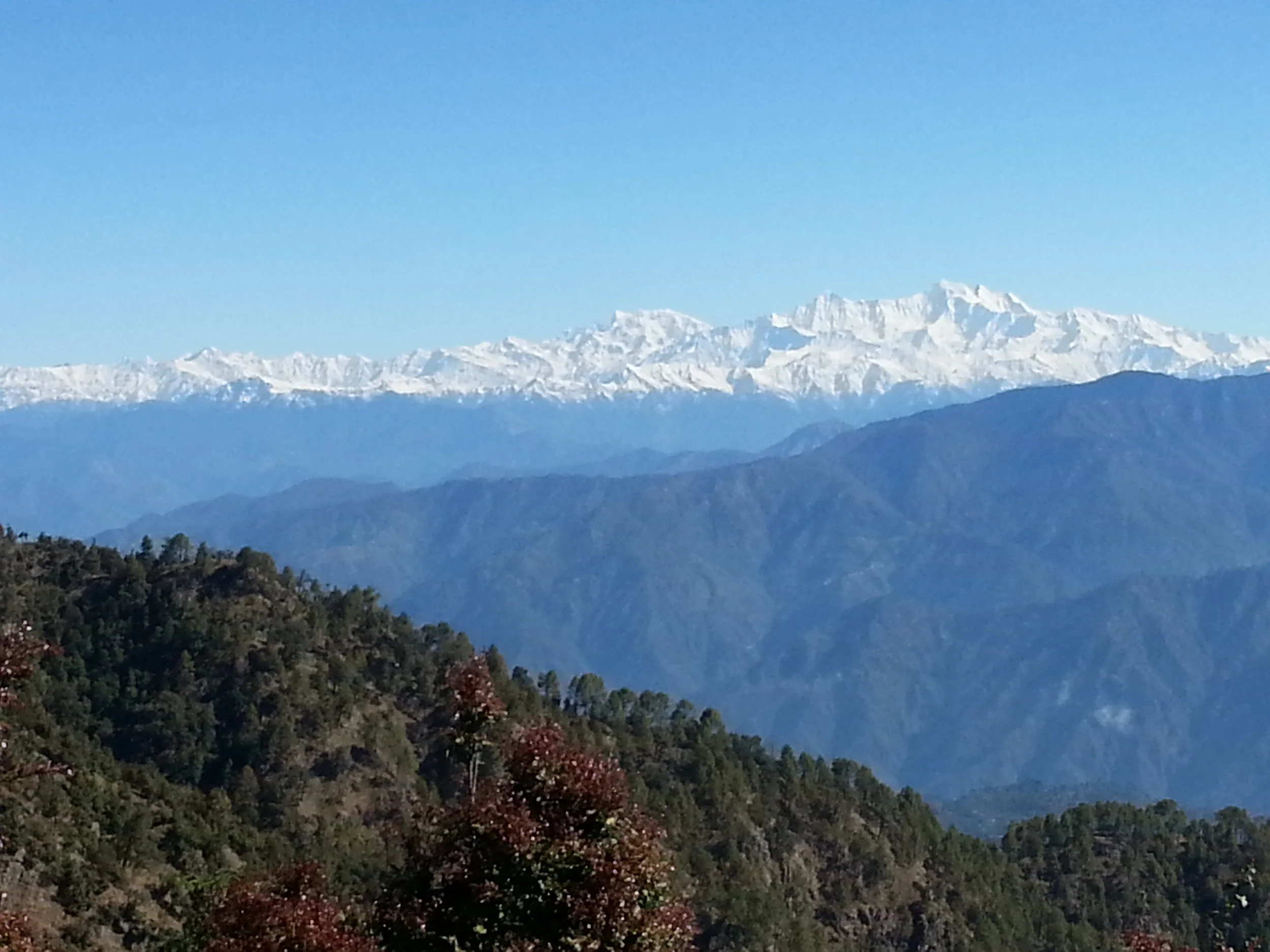 2014-04-20 08.41.49.jpg