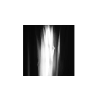 The Promise (rmutt).jpeg