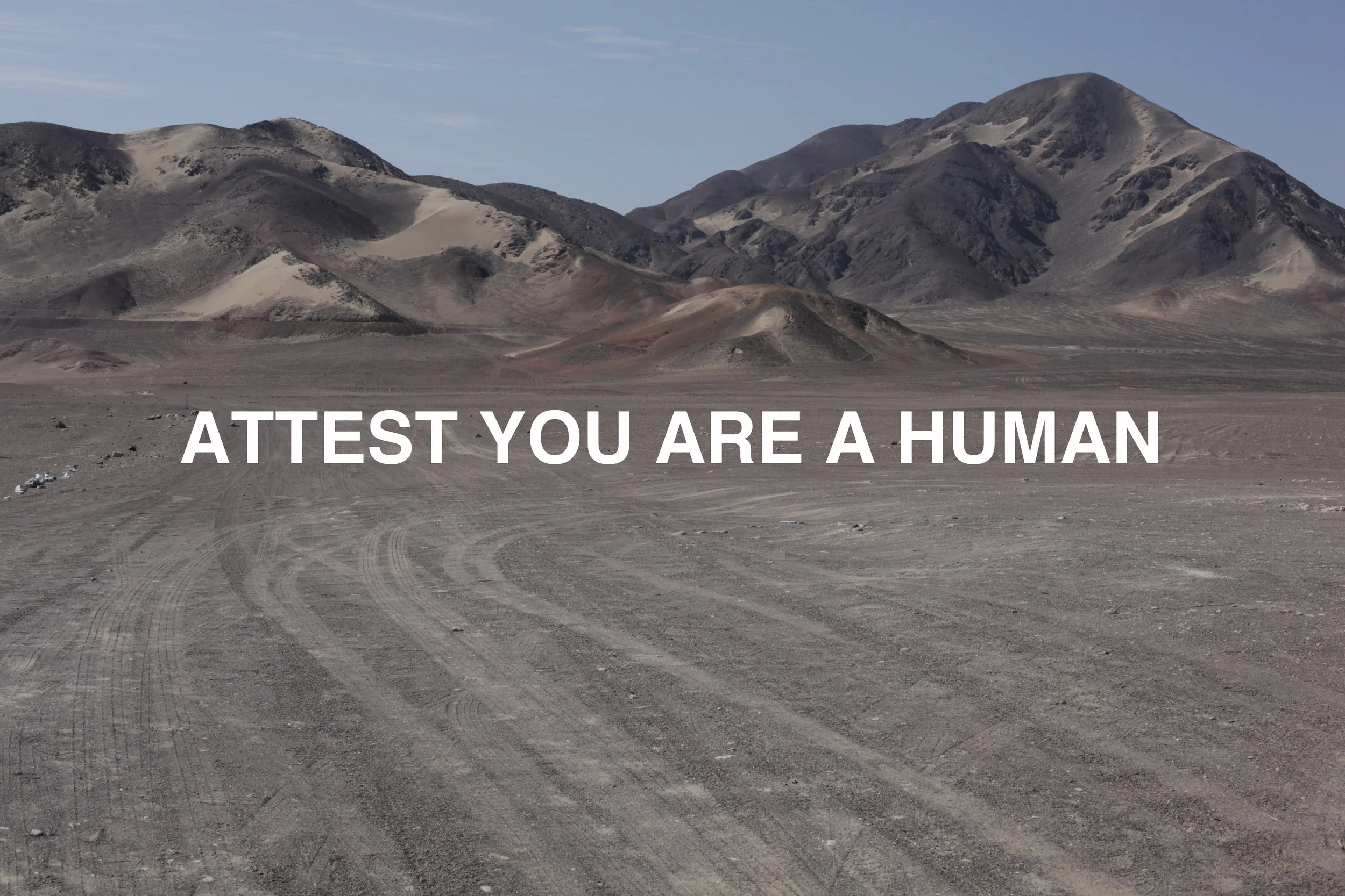 Attest you are human 2017 C-Print, photograph and digital media