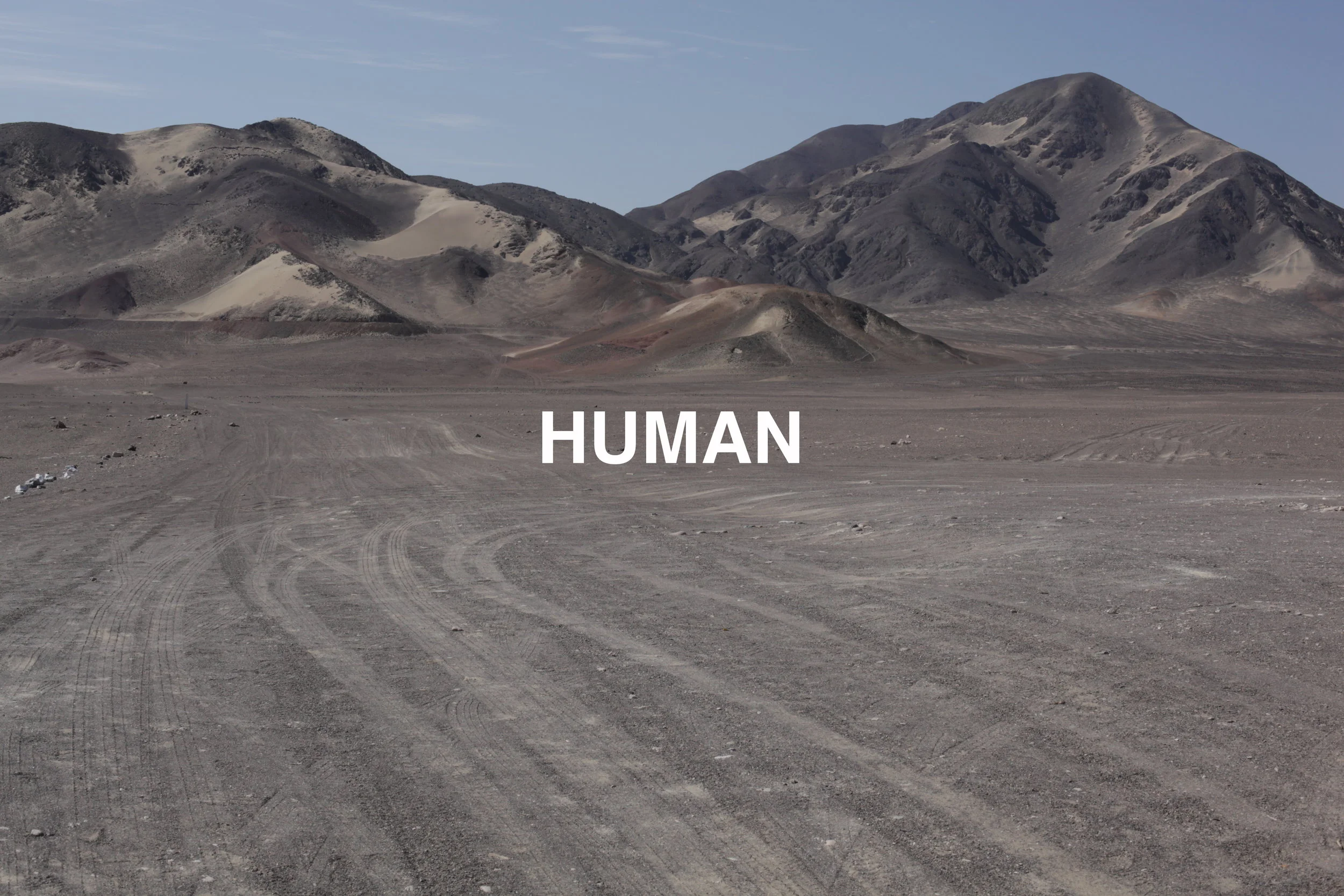 Attest you are human (Human) 2017 C-Print, photograph and digital media