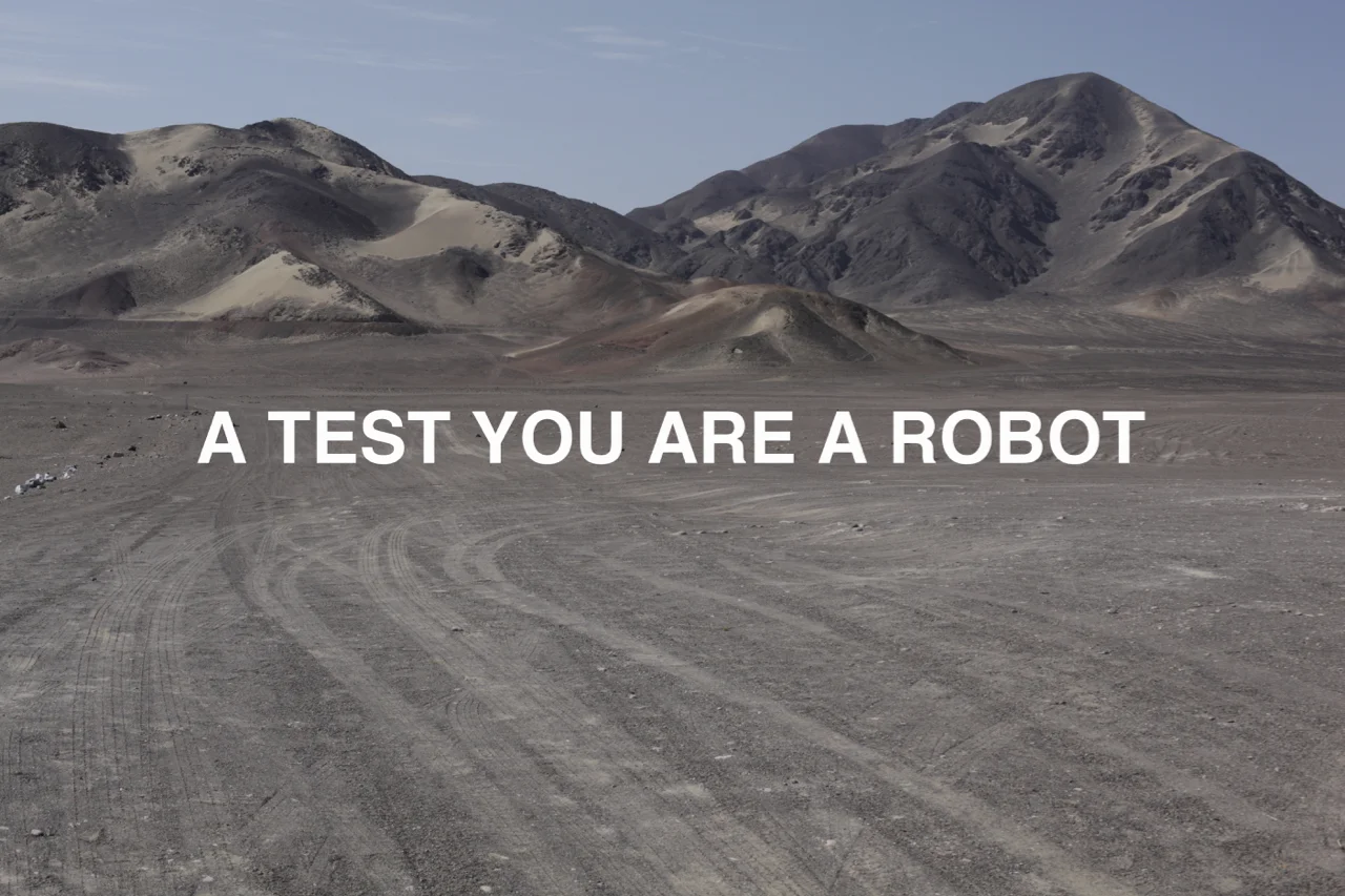 Attest you are human (A test you are a robot) 2017 C-Print, photograph and digital media