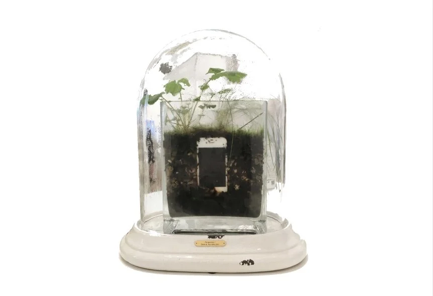 Pergamon I (white background).jpeg