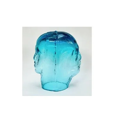 Self portrait as Janus glass (copyright David Aston rmutt.co.uk).jpeg