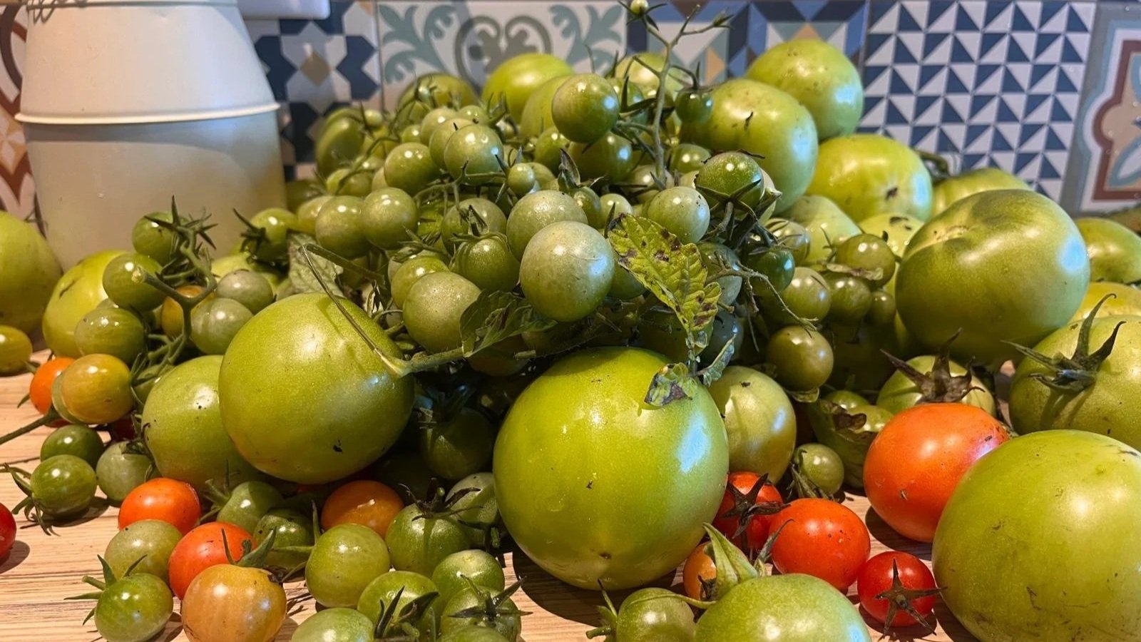 WhatsApp Image 2025-10-16 à 17.38.55_d71ffc9a.jpg