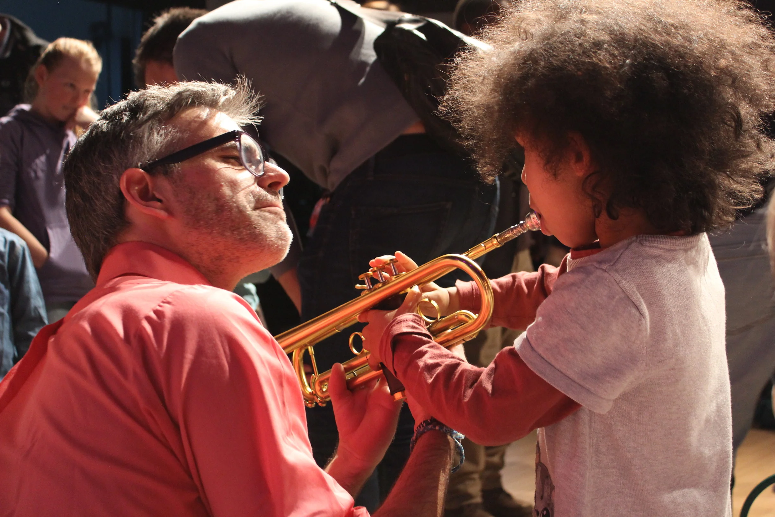 Alter Schlachthof, Wels