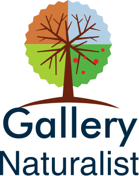 Gallery Naturalist