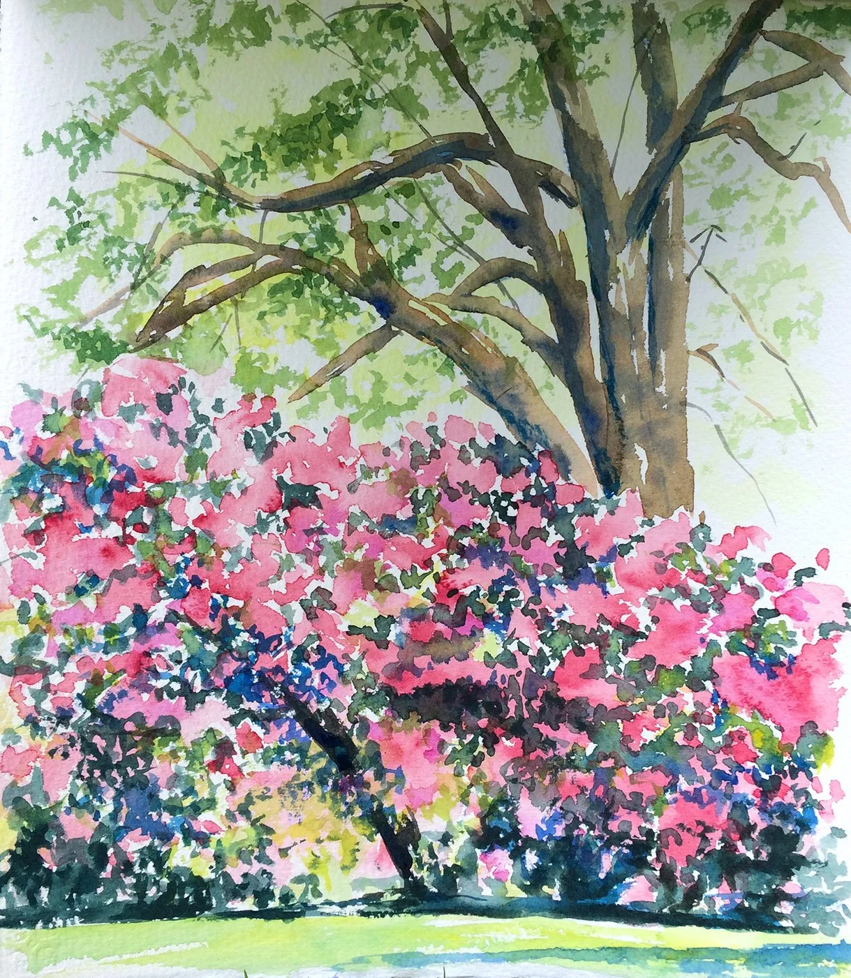 Spring Blossom Kew Gardens