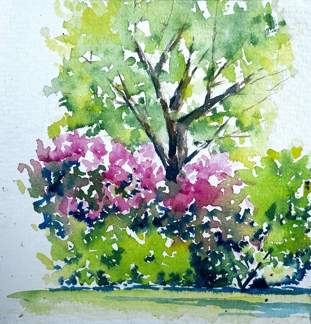 Spring Colour, Kew Gardens