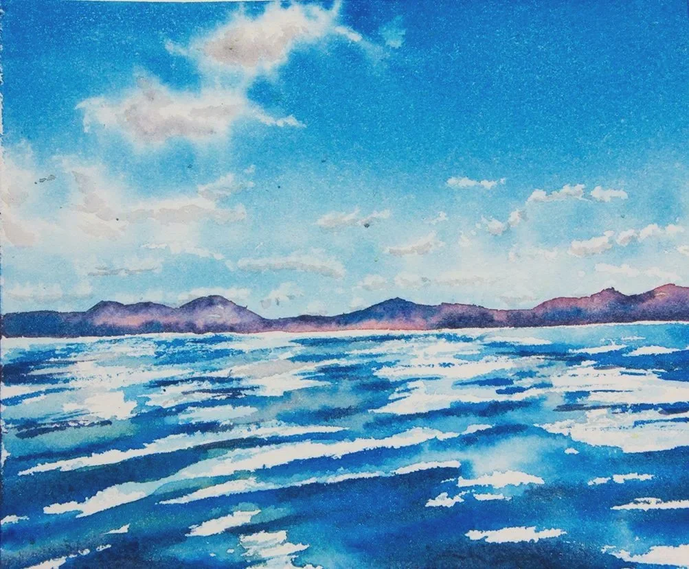 Finding Sea Lions, Sea of Cortez Mexico