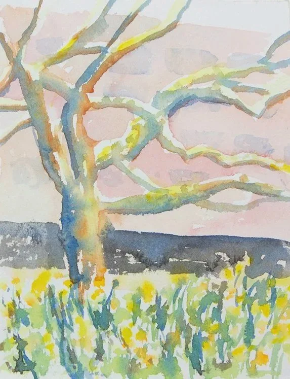 Spring in St James' Park