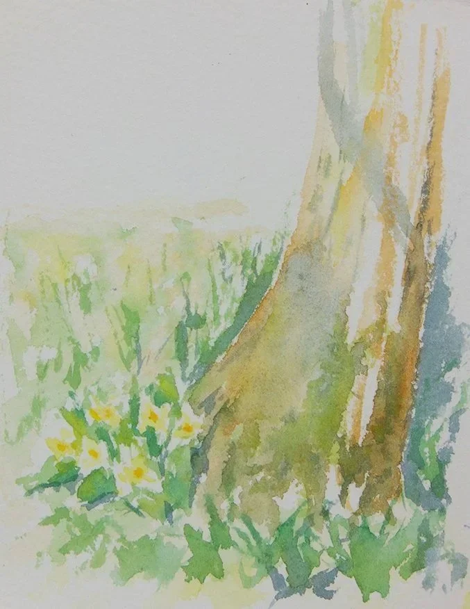 Daffodils in Green Park