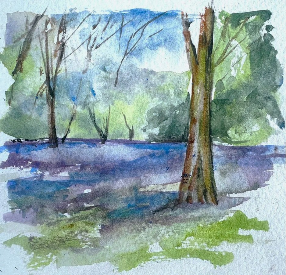 Bluebells Ashridge Woods 2