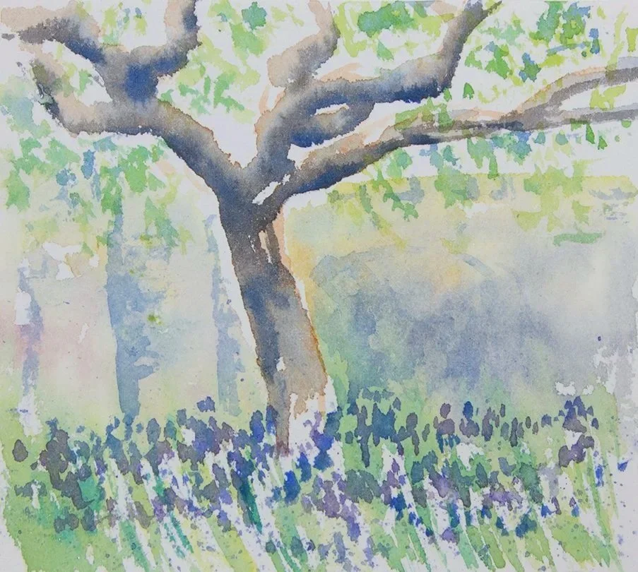 Fenton House Hampsted