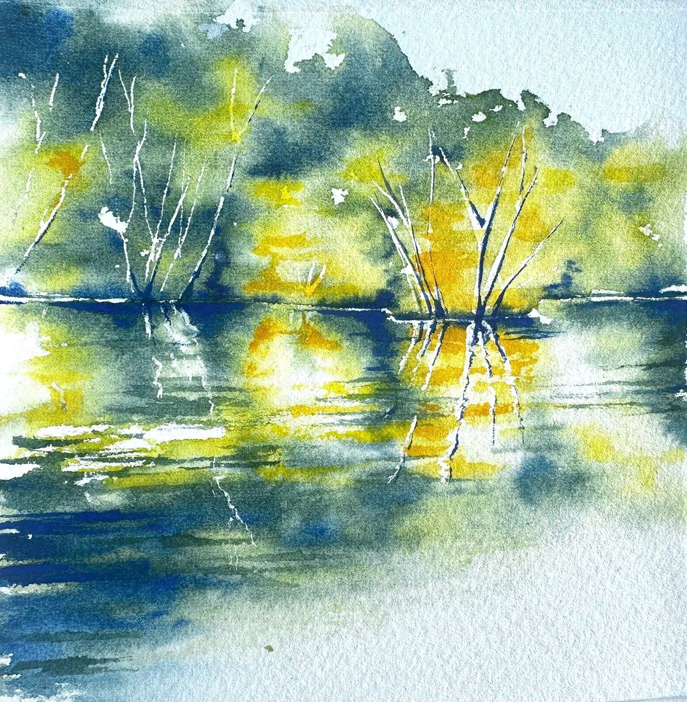 Rushmere Country Park