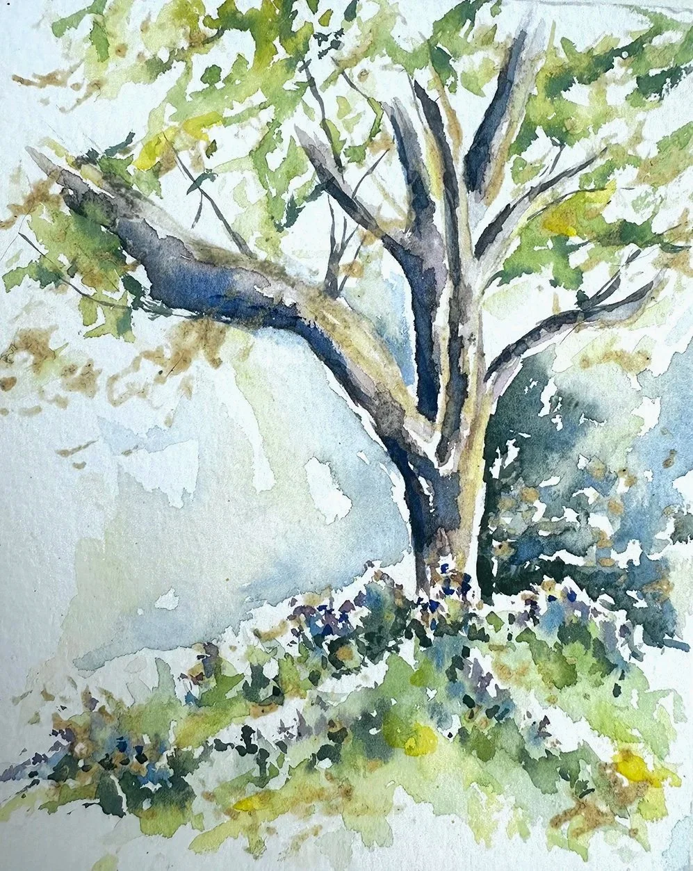 First Signs of Spring