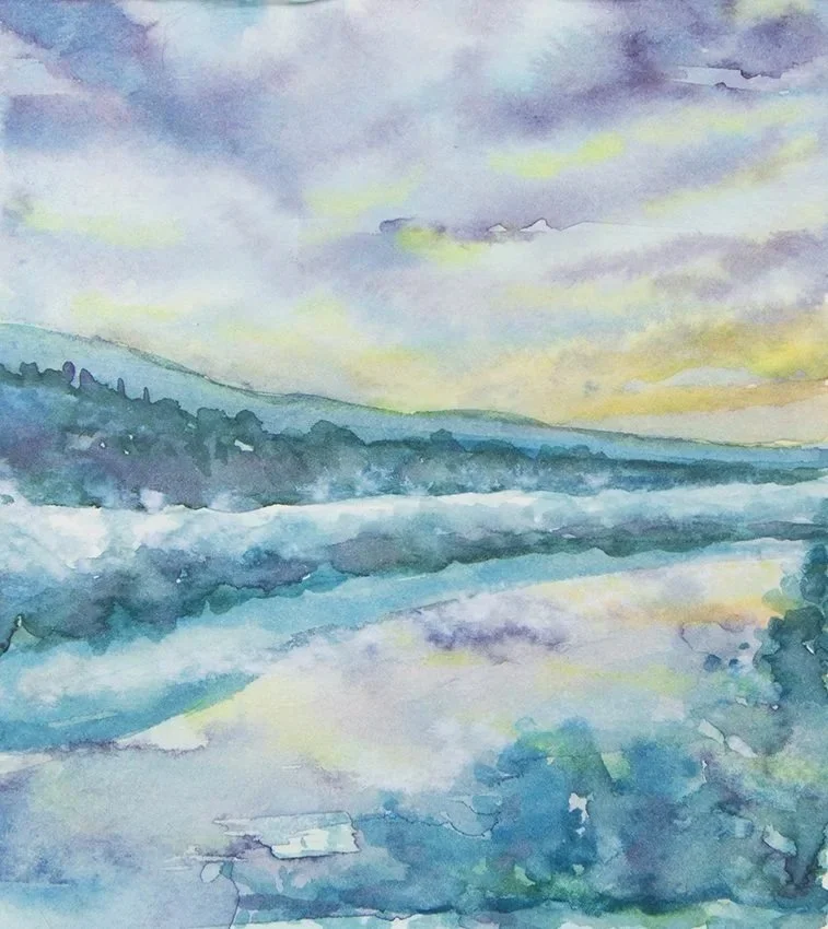 Bergen to Oslo Train