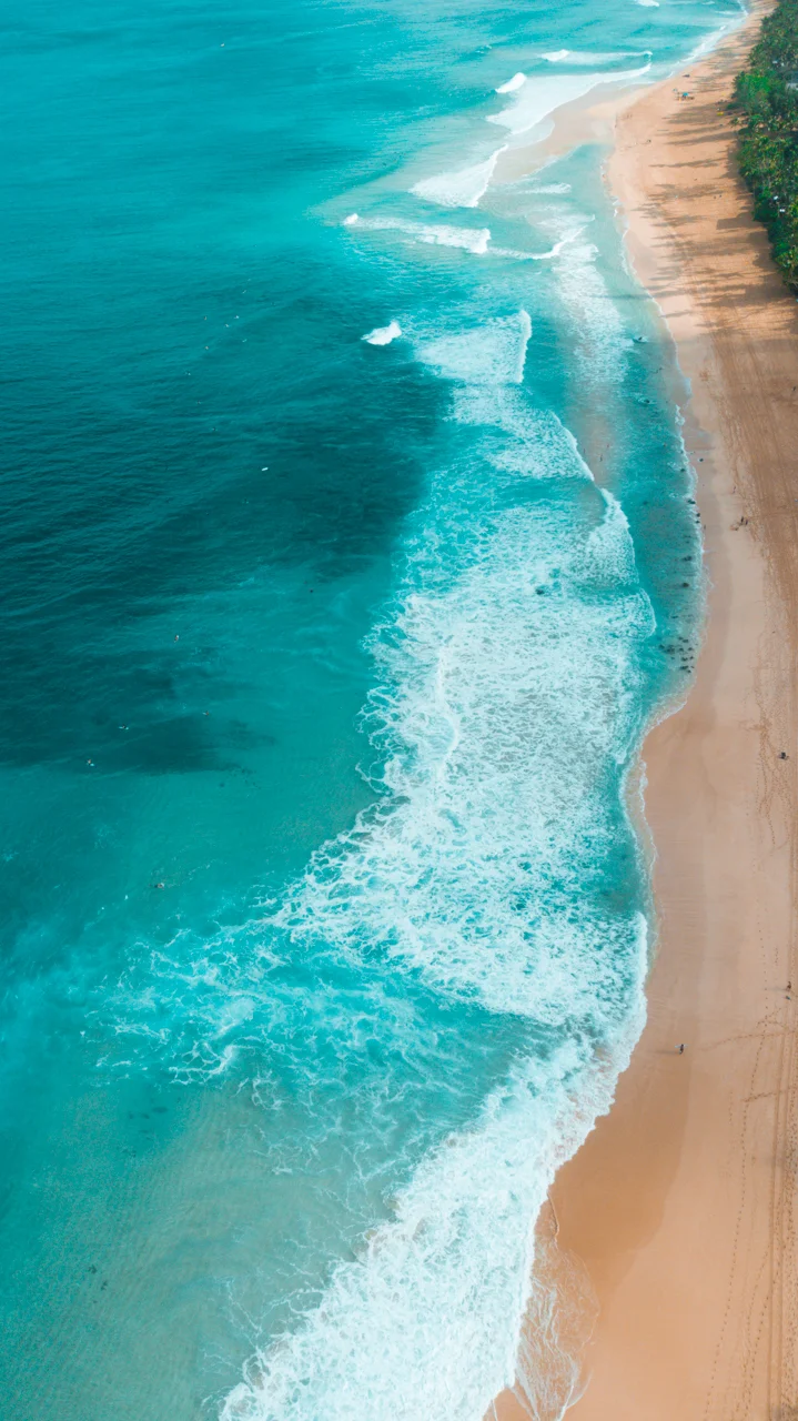72-HAWAII-JAN.2018-DRONE-SHOT.jpg