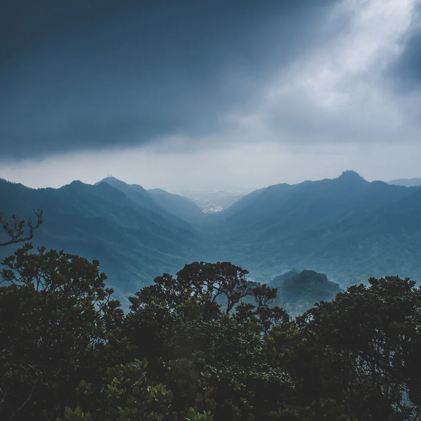 12-HAIKUSTAIRS-STAIRWAYTOHEAVEN-HAWAII-JAN.18.jpg