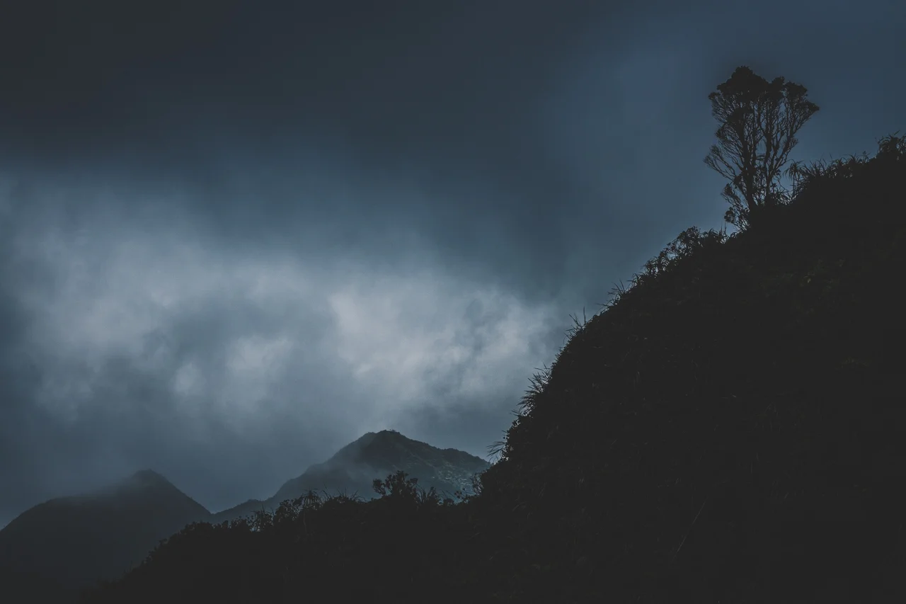 30-HAIKUSTAIRS-STAIRWAYTOHEAVEN-HAWAII-JAN.18.jpg