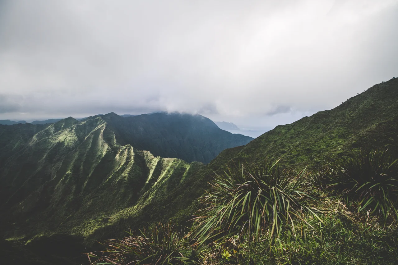 51-HAIKUSTAIRS-STAIRWAYTOHEAVEN-HAWAII-JAN.18.jpg