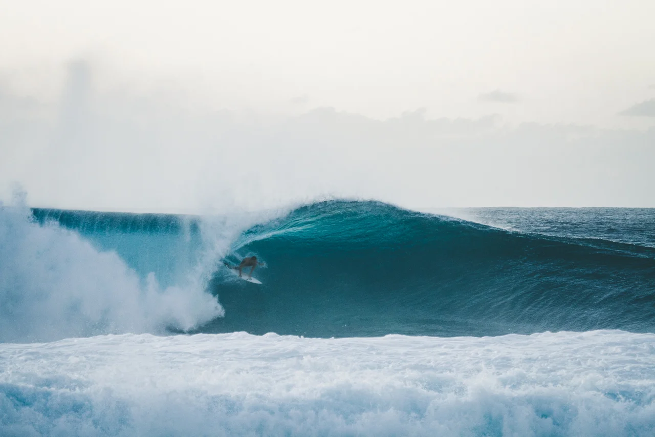 18-HAWAII-JAN.2018-PIPELINE-BIG-SWELL-WHALES.jpg