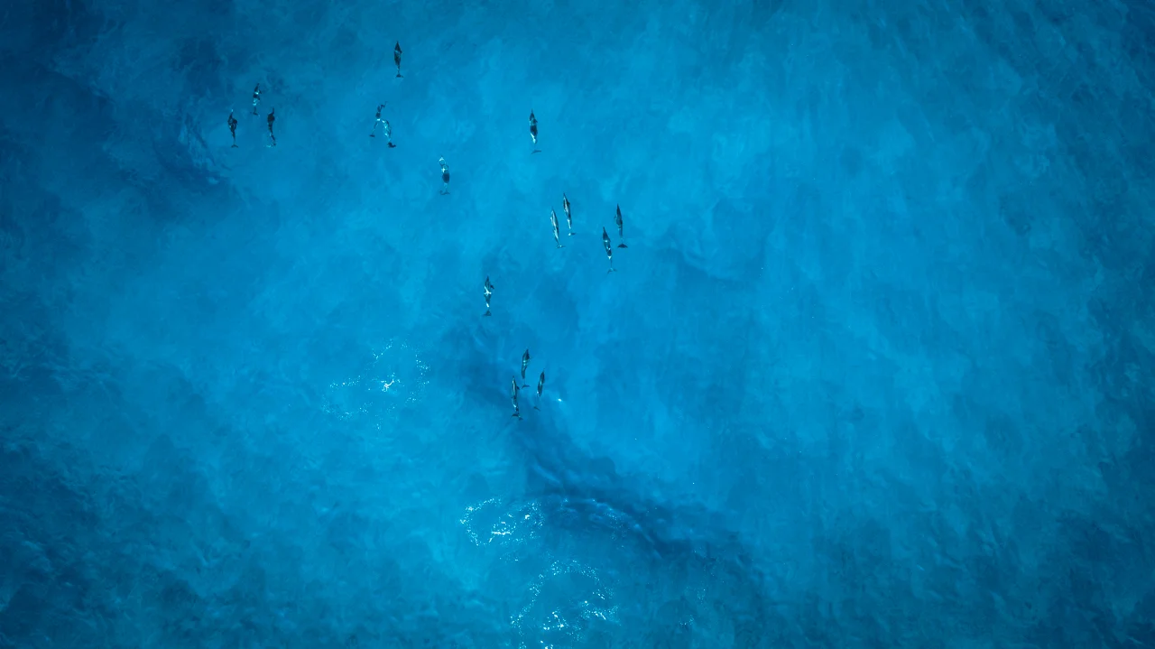 65-HAWAII-JAN.2018-DRONE-SHOT.jpg
