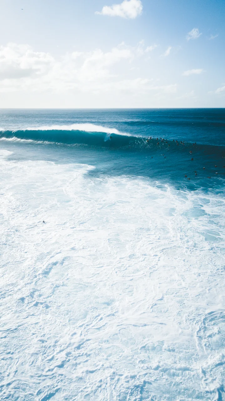74-HAWAII-JAN.2018-DRONE-SHOT.jpg