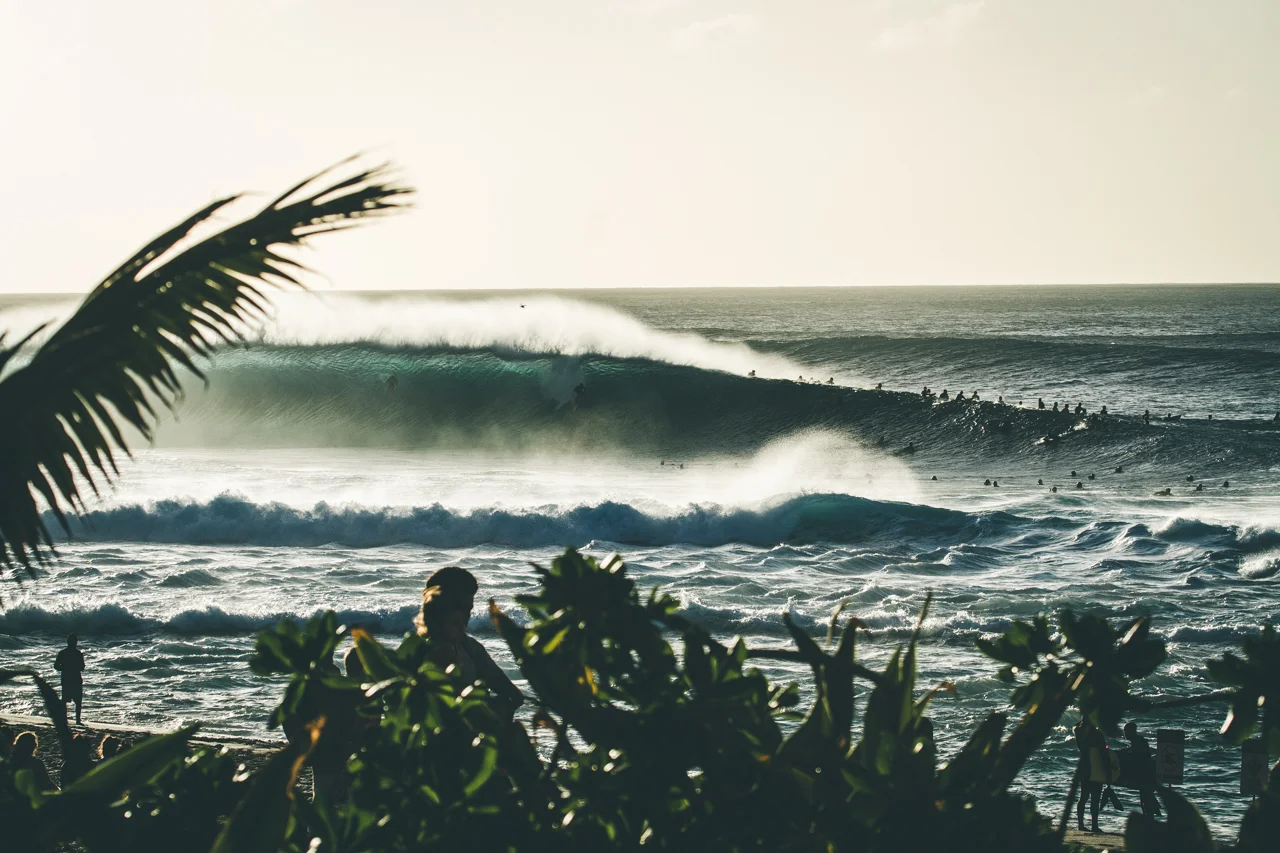 10-HAWAII-JAN.2018-PIPELINE-BIG-SWELL-WHALES.jpg