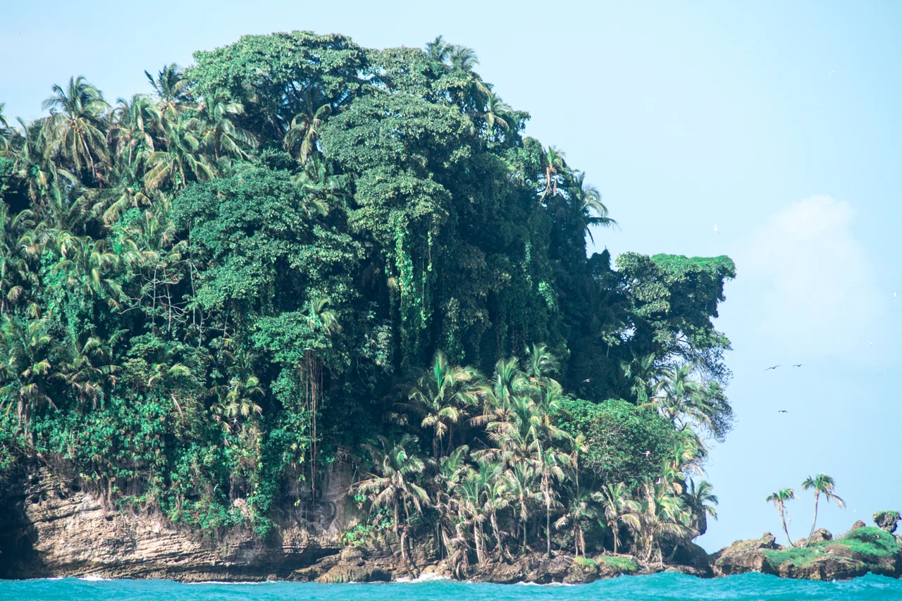 51-PANAMA-FEVRIER-2018-BOCAS-DEL-TORO.jpg