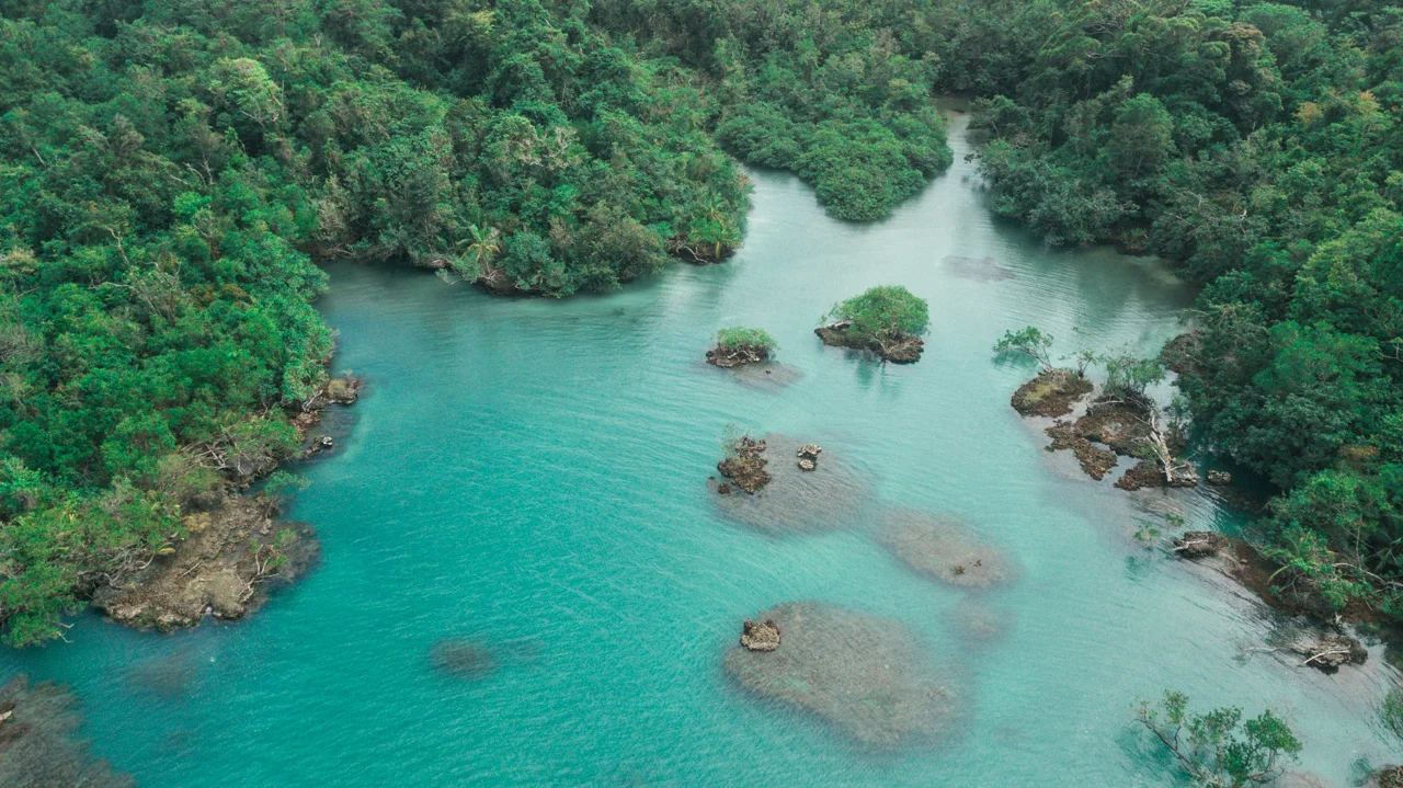 15-PANAMA-FEVRIER-2018-BOCAS-DEL-TORO.jpg