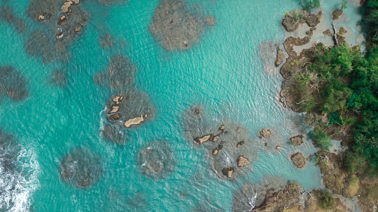 17-PANAMA-FEVRIER-2018-BOCAS-DEL-TORO.jpg