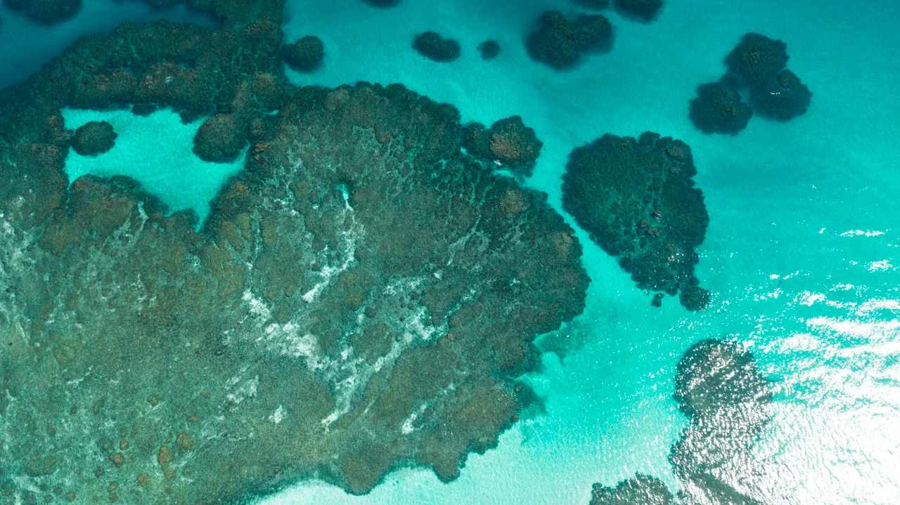 34-PANAMA-FEVRIER-2018-BOCAS-DEL-TORO.jpg