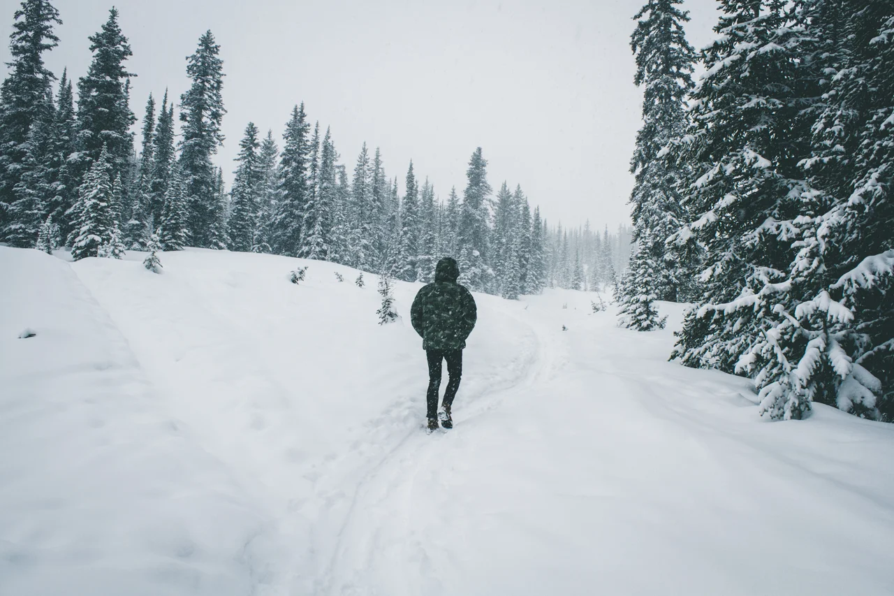 1-ICEFIELD-PARKWAY-DRIVE-NEWFILTER2018.jpg