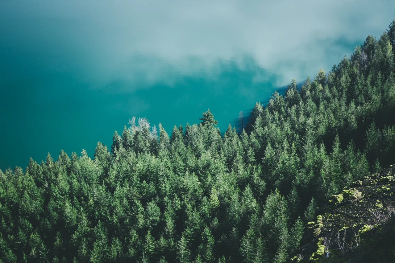 3-RATTLESNAKE-LAKE-NEWFILTER2018.jpg