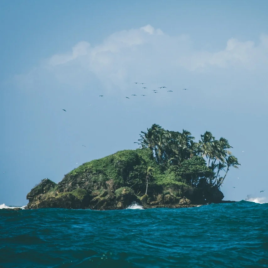 49-PANAMA-FEVRIER-2018-BOCAS-DEL-TORO.jpg