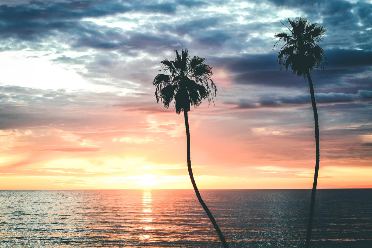 2-CALIFORNIA-NEWFILTER-2018.jpg